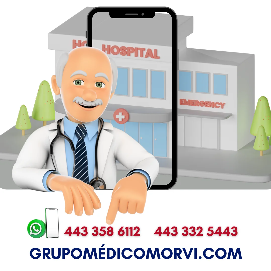 Directorio de Proveedores de Equipo Medico